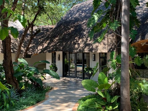 Pamarah Lodge Capanno nella natura in Zimbabwe