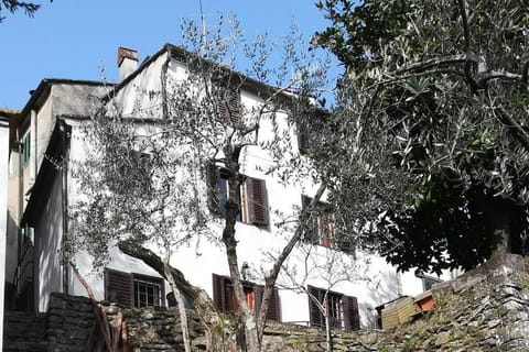 La casa di Serena Haus in Pistoia