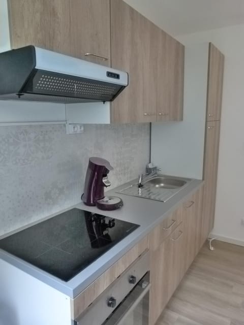 Kitchen or kitchenette, kitchen