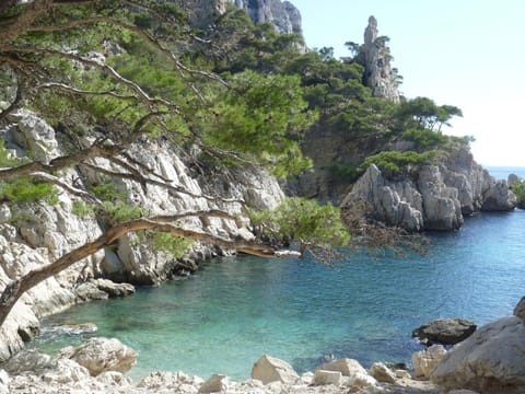 canaille candelle Apartment in Cassis