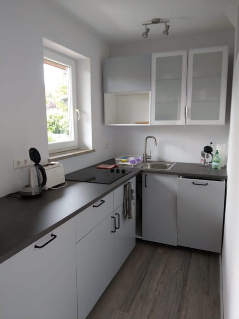 Kitchen or kitchenette, dishwasher, stove