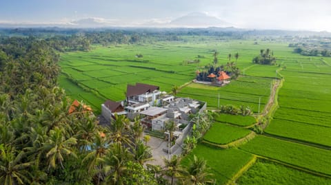 Property building, Bird's eye view, View (from property/room), Landmark view