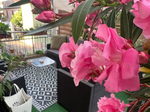 Patio, Day, Garden, Garden view