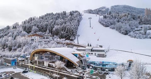 Spa Apartments - next to AreitXpress Gondola Apartment in Zell am See