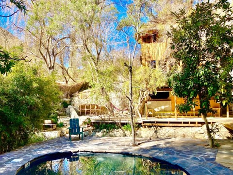 Garden, Garden view, Pool view, Swimming pool