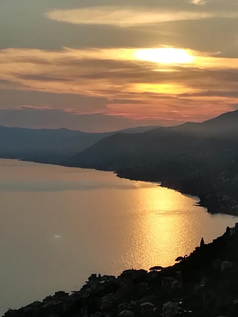 Panorama Paradiso by PortofinoVacanze Apartment in Camogli