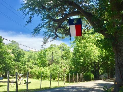 RR 9084BC Bluebonnet Cabin House in Canyon Lake