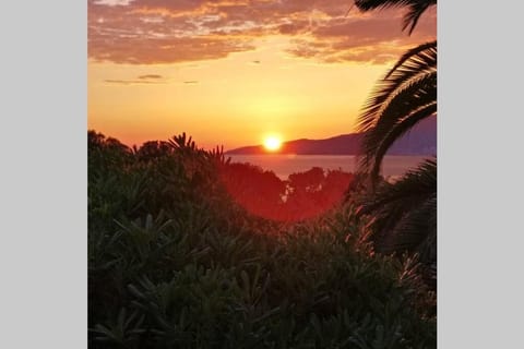 Corse Blanca Casa à PORTICCIO / AJACCIO Villa in Ajaccio