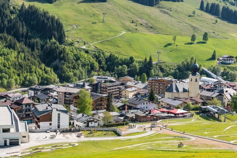 Neighbourhood, Natural landscape, Bird's eye view