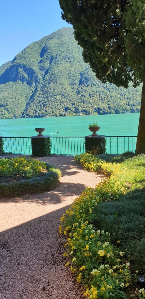 Lugano Lake, nido del cigno Apartment in Lugano