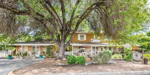 Binky's Secret Garden House in Fredericksburg