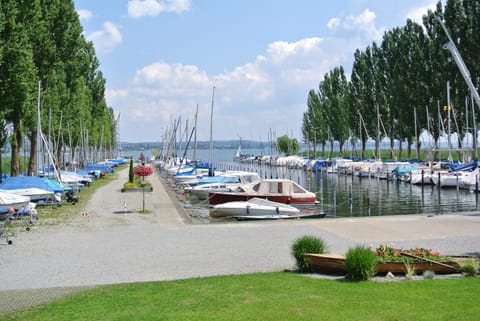 Gasthaus Schiff Hotel in Radolfzell