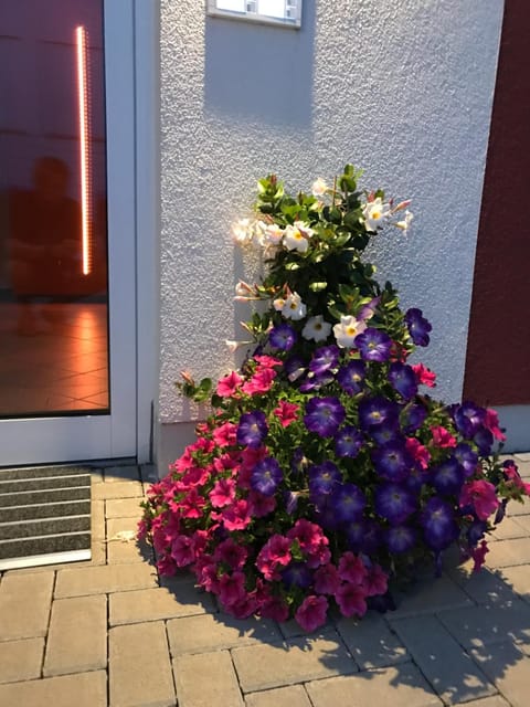 Patio, Facade/entrance, Sunset