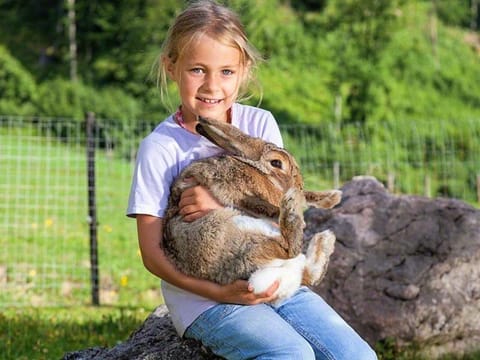 Bognerlehen Rupert Kurz Farm Stay in Berchtesgadener Land