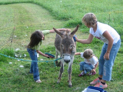 Bognerlehen Rupert Kurz Farm Stay in Berchtesgadener Land