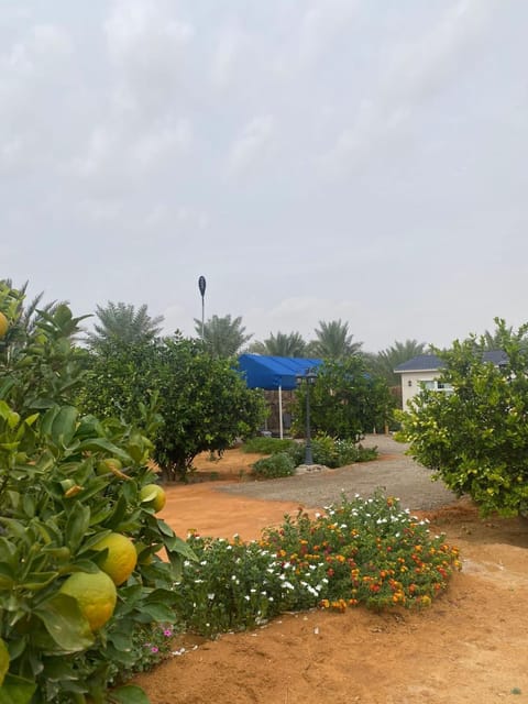 مزرعة وشاليه سُلافا Chalet in Al Madinah Province