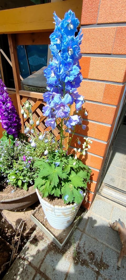 きっとあい楽館 Vacation rental in Saitama Prefecture