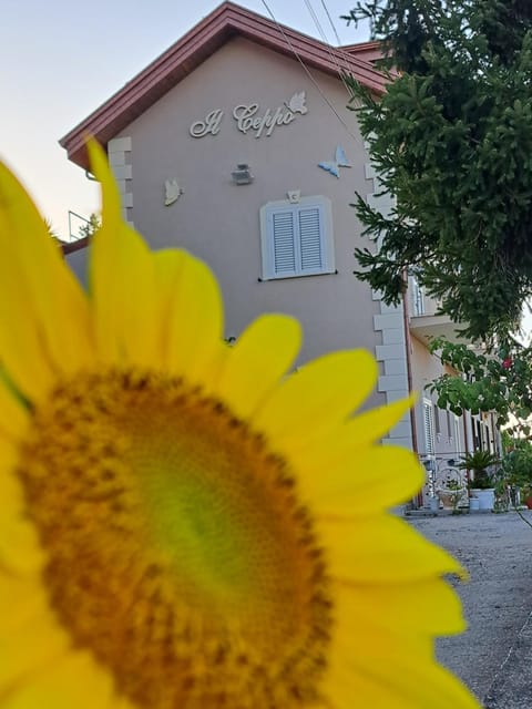 IL CEPPO sui sentieri per Amalfi Bed and Breakfast in Agerola