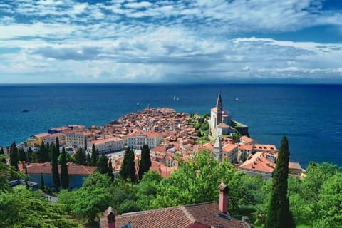 Unique spacious apartment with terrace Apartment in Piran