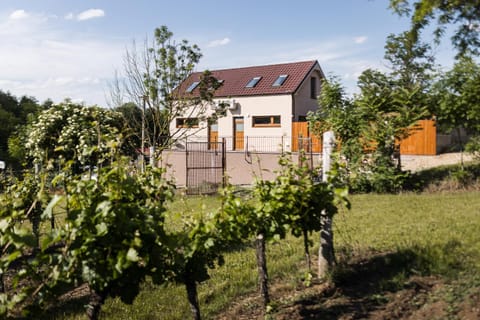 Sklep na Správném místě - degustace, ubytování a wellness Apartment in South Moravian Region