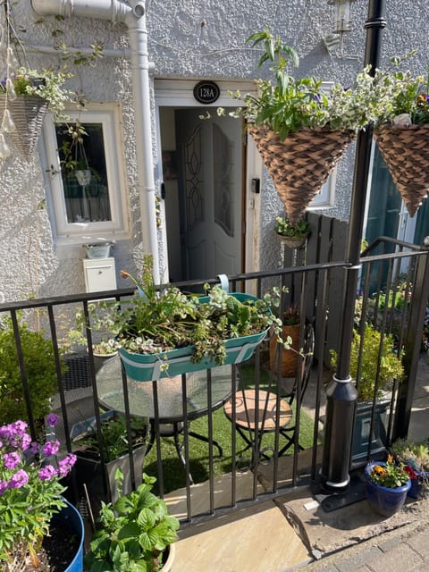 Property building, Patio, Day, Garden view