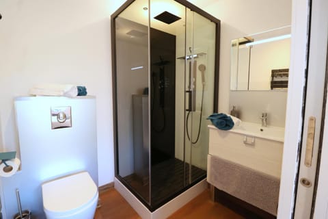 Shower, Toilet, Bathroom, towels