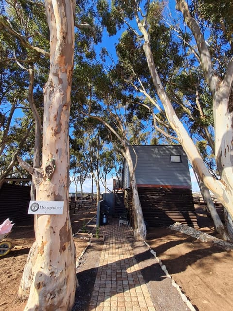 Oorgenoeg in Langebaan Apartment in Western Cape