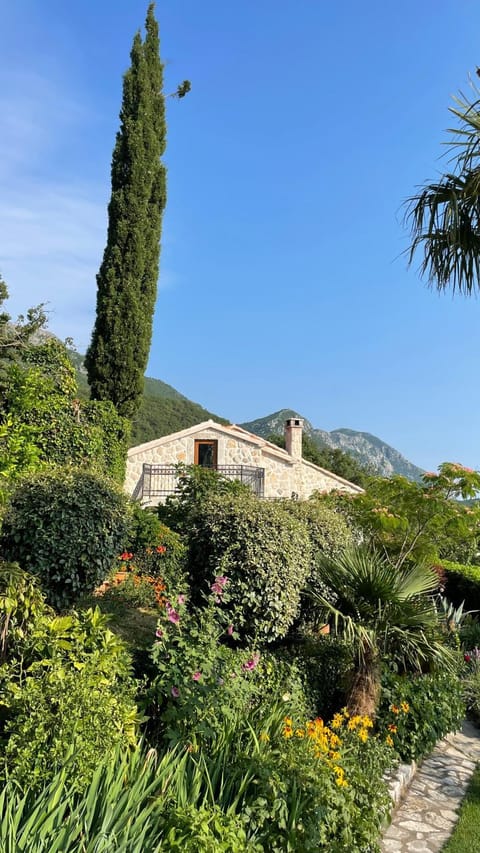 Day, Garden view, Mountain view