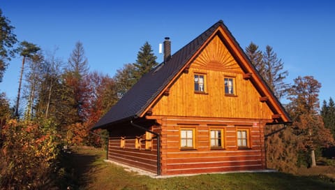 Property building, Autumn, Sunrise