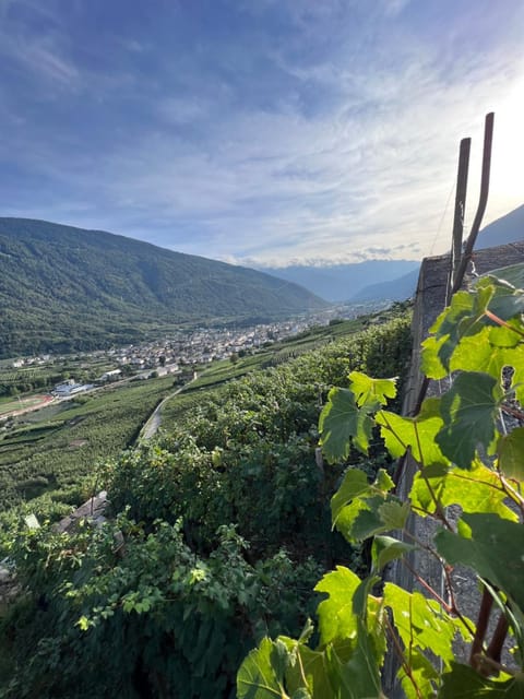 SANMARTINO SUITE Bed and Breakfast in Province of Brescia