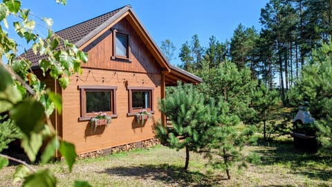 Domki Letniskowe Swornegacie - grill klimatyzacja WiFi monitoring Nature lodge in Pomeranian Voivodeship