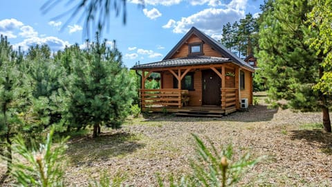 Domki Letniskowe Swornegacie - grill klimatyzacja WiFi monitoring Nature lodge in Pomeranian Voivodeship