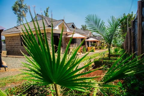 Garden, Garden, Garden view