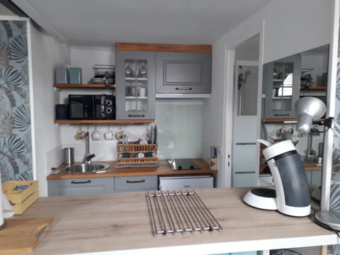 Loft Haut de Gamme Centre Montargis, Place de Parking, Local à vélos, Linge de lits et serviettes, coin rivière amenagé, Hamac, Épicerie, Vélos en option, Tout confort jusqu'à 4 voyageurs Apartment in Centre-Val de Loire