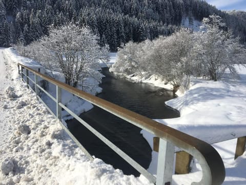 Natural landscape, Winter