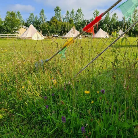 Bell tent glamping at Marwell Resort Luxury tent in Eastleigh District