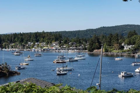 Sea-esta Suite with Ocean Views in Brentwood Bay House in Southern Gulf Islands