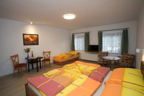 apartmany Zak Apartment in Lipno nad Vltavou