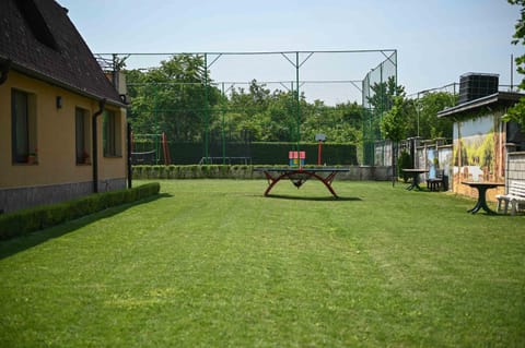 Table tennis