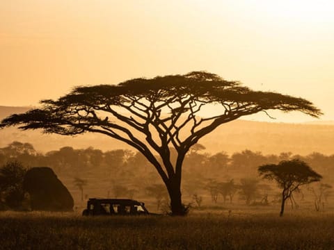 Serengeti Sound of Silence Capanno nella natura in Kenya
