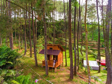 Kampung Rimba by Anrha Luxury tent in Cisarua