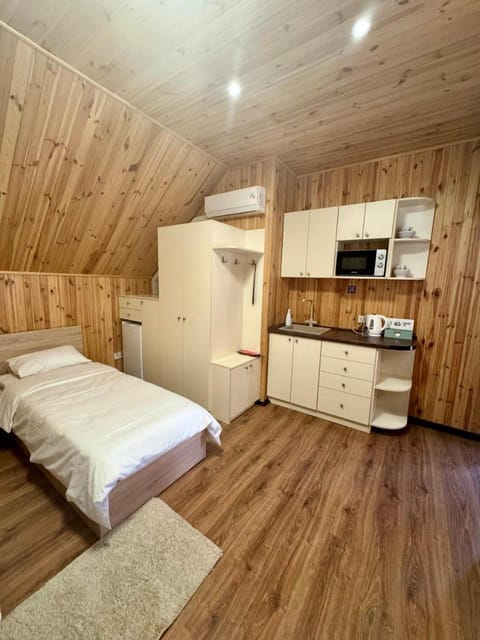 Bed, Kitchen or kitchenette, Photo of the whole room, minibar, stove