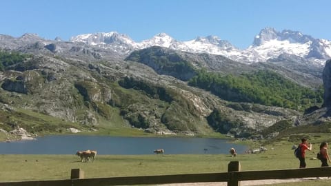 Apartamentos La Senda Condo in Asturias