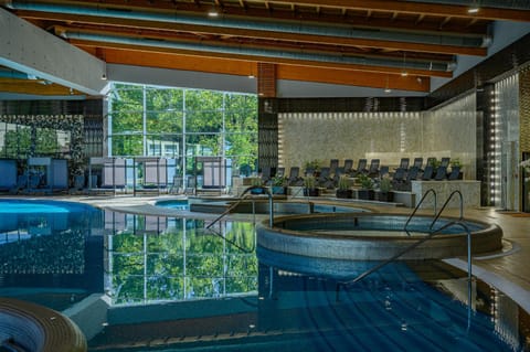 Spa and wellness centre/facilities, Swimming pool