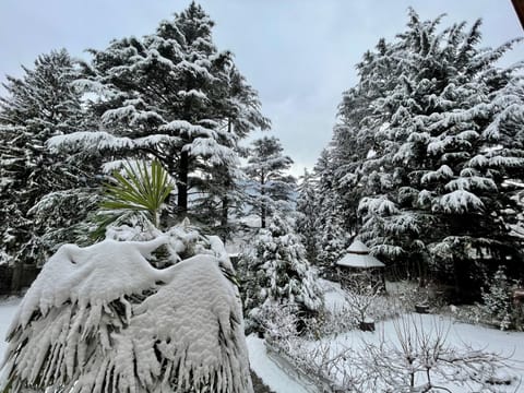 App. Franziska Villa Fabbrani Apartment in Brixen