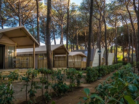 Camping Free Beach Campground/ 
RV Resort in Tuscany