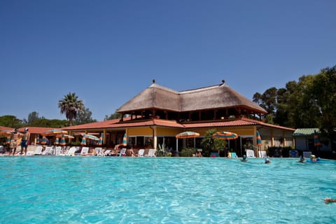 Swimming pool