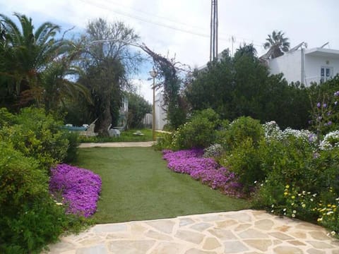 Garden, Other, Seating area, Garden view