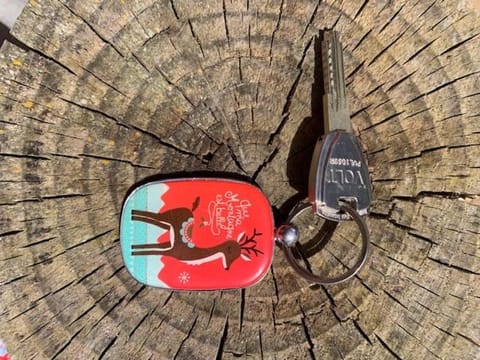 Le Petit Chalet de Montriond Chalet in Montriond