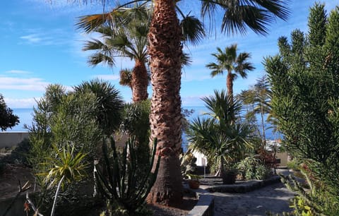 Inner courtyard view